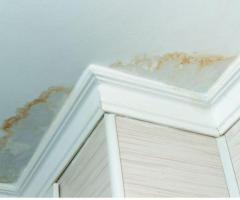 维修电话6265619803急修急换 ：各类水管漏水/ 更换安装厨卫/水龙头/ 热水炉/马桶/ 及电路检修/灯具/插座 /开关/等大小室内外维修 诚信为本