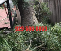 纽约蓝天上门家政维修团队- 曼哈顿/新泽西/长岛/法拉盛/布鲁克林/斯丹顿岛/专业砍树修树剪枝枝刨树根搬移垃圾929-500-0059 纽约蓝天上门家政维修团队- 曼哈顿/新泽西/长岛/法拉盛/布鲁克林/斯丹顿岛/专业砍树修树剪枝枝刨树根搬移垃圾929-500-0059