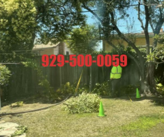 纽约蓝天上门家政维修团队- 曼哈顿/新泽西/长岛/法拉盛/布鲁克林/斯丹顿岛/专业砍树修树枝929-500-0059 纽约蓝天上门家政维修团队- 曼哈顿/新泽西/长岛/法拉盛/布鲁克林/斯丹顿岛/专业砍树修树枝929-500-0059